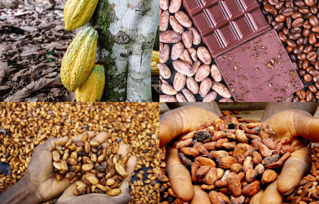IN IVORY COAST, THE WORLD’S LARGEST COCOA PRODUCER, FARMERS WORRY OVER NEW US TARIFFS