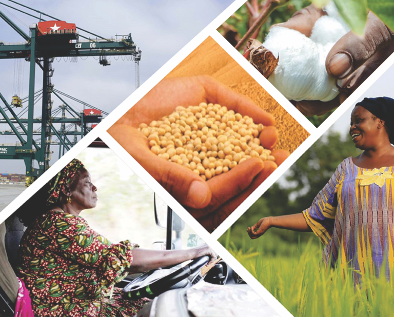 Increased Private Sector Participation in Agriculture, Transport, and Logistics Can Boost Growth in Togo–World Bank Group Report