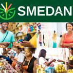 SMEDAN PUSHES BOUNDARIES TO EMPOWER NIGERIAN SMALL BUSINESSES