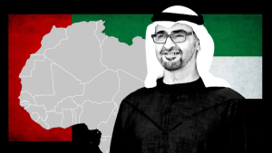 Screenshot 2025-05-20 at 13-13-25 UAE IS POURING MONEY INTO AFRICA SEEKING RESOURCES AND POWER - Google Search
