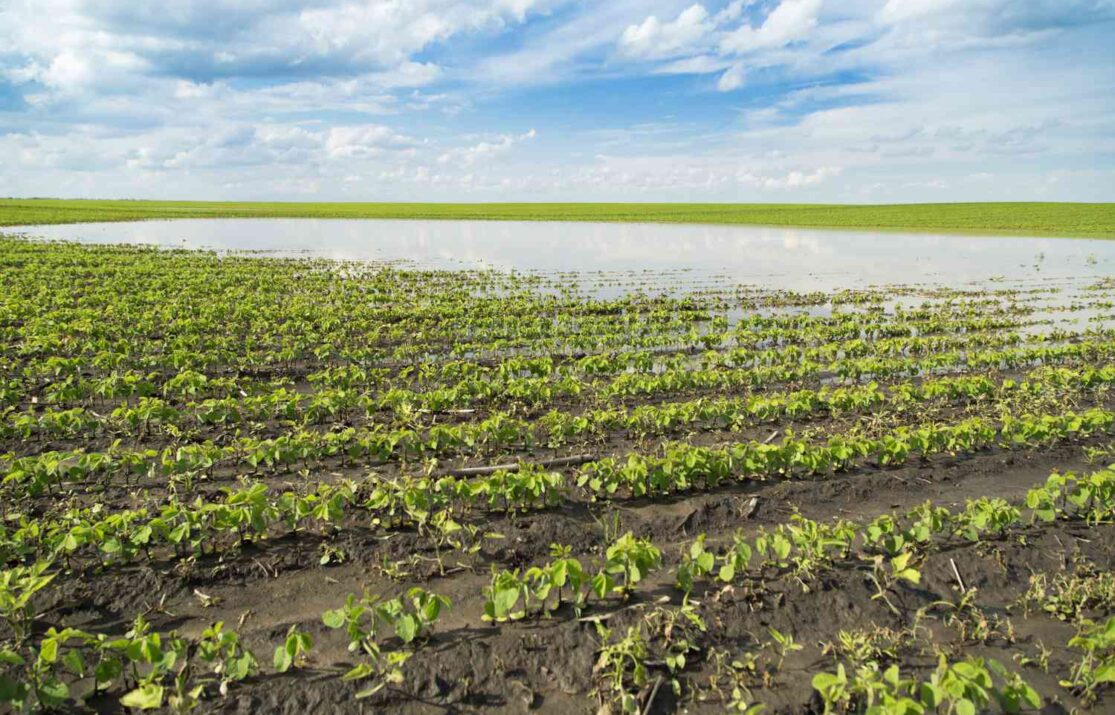 FG to Implement Advanced Technology For Year-round Farming