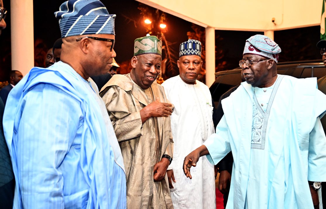Tinubu, Shettima, Akpabio, Uzodimma and others lauded as ICONS of Fourth Republic