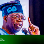Nigeria is not a One-Party State, but One Party Making a Difference – President Tinubu