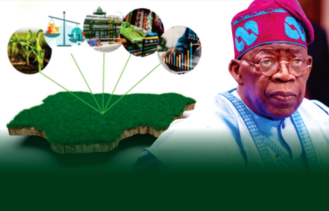 Tinubu saved Nigeria’s economy from collapse – Ohakim
