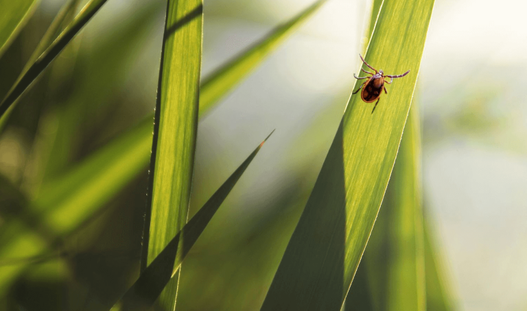 IsAS8WJOnQuquNqarI1QhQ==