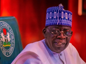 Screenshot 2025-06-05 at 07-00-03 tinubu - Google Search