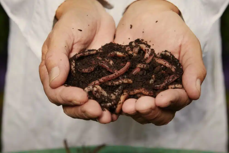 Screenshot 2025-06-25 103234