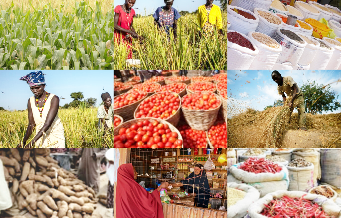 ECA Calls for Coordinated Regional Efforts to Enhance Food Security in Africa