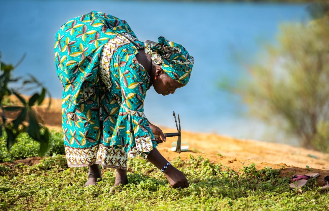 Unlocking Policy Initiatives to Boost Food Security in Africa