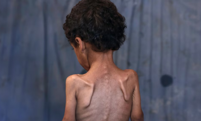 -900-0-1753797318xctuoio-752