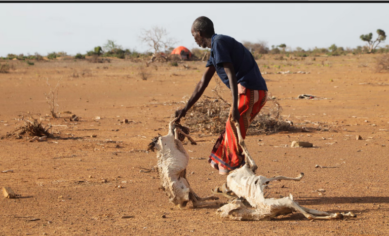 Screenshot 2025-07-15 at 09-10-56 Somalia ‘The worst humanitarian crisis we’ve ever seen’ Global development The Guardian