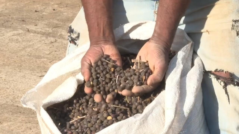 Screenshot 2025-07-22 at 11-46-34 bra-coffee-trump-tariffs-20250721cr-1920x1080.jpg (JPEG Image 1280 × 720 pixels)