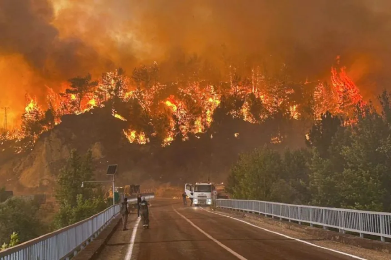 Screenshot 2025-07-26 at 08-51-46 Turkey-wildfires-860x573.jpg (WEBP Image 860 × 573 pixels)