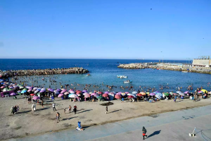 Screenshot 2025-07-27 at 14-23-12 ba253d8afa49459aed7e1fb2371f196e_Algeria_00788.jpg.webp (WEBP Image 1200 × 800 pixels)