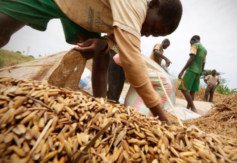 D7D24C85-CE64-4814-B5D3-4DA5001D0F4C_w1080_h608_b_s