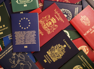 Screenshot 2025-08-11 at 06-47-11 The Countries That Will Sell You a Passport - Google Search