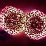 Japan Pioneers Skin Cancer Treatment Using Genetically Modified Virus