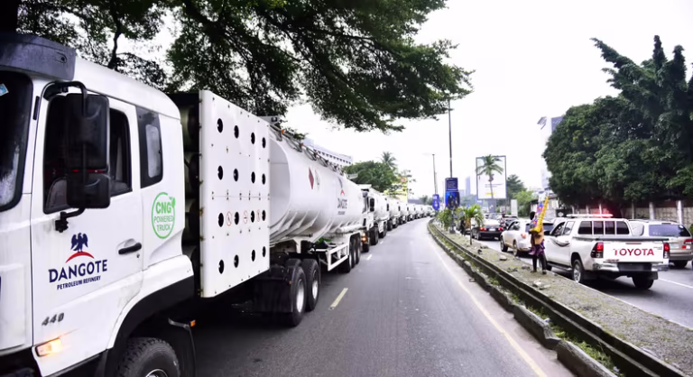 wHyk9kpTURBXy9jMjMyMGI3YzNjOTNiMmYwYTk5ODM5OTU2YjU0ZjA4NC5qcGeSlQMAzFDNCgDNBaCTBc0DFs0Brt4AAqEwBqExAA (1)