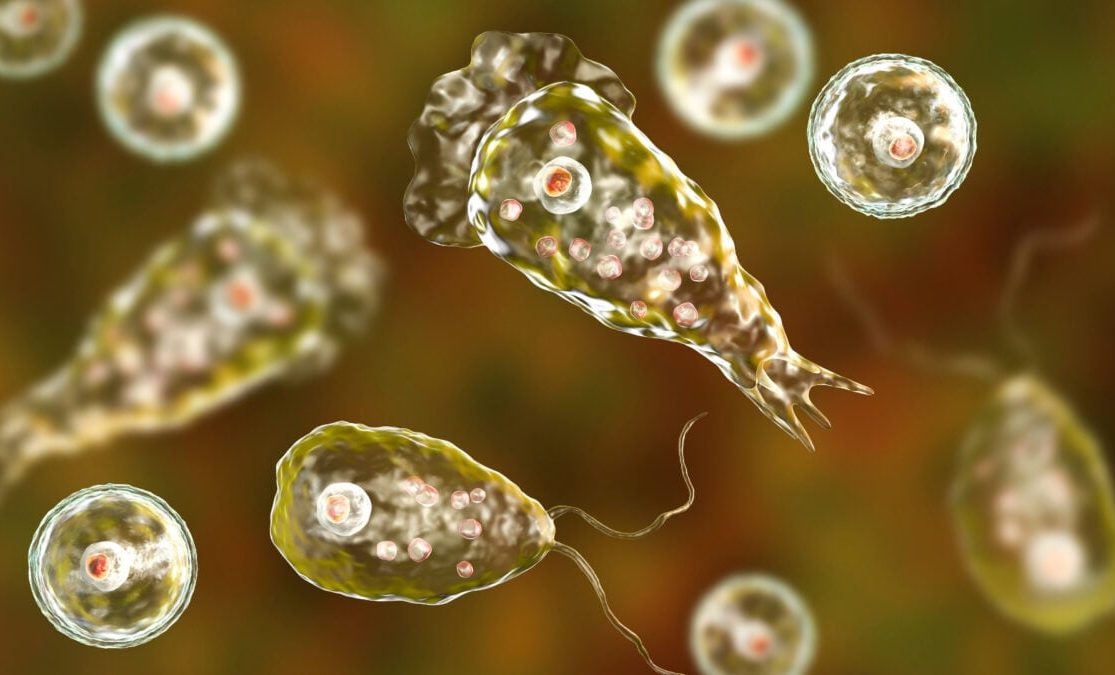 How a Rare Brain-Eating Amoeba Has Stirred Grief and Awareness in the US, as a Life was cut Short at the Lake Ozarks-Missouri