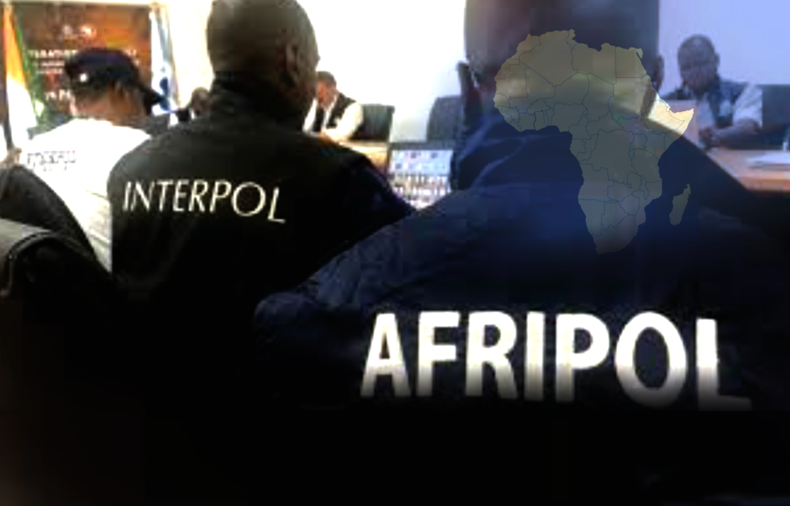 Inside Africa’s Bold Crackdown on Terror Financing: Interpol and Afripol s