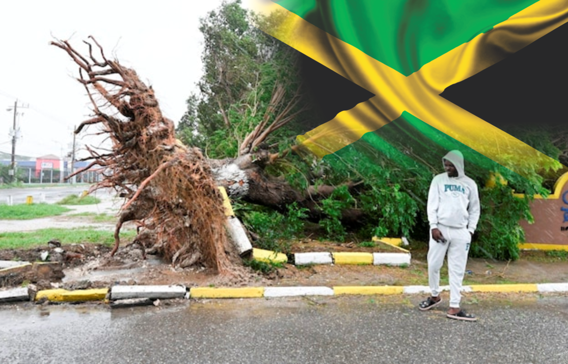 Hurricane Melissa Test the Jamaica’s Spirit: Windows Blown, Trees Uprooted, Crocodile Warnings Alarmed