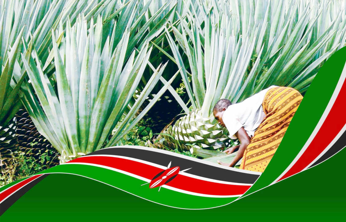 Kenya’s Sisal Plant’s Export Boom to Nigeria is Reshaping Lives and Trade
