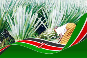 kenya+sisal