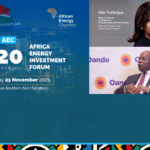 Nigeria’s Olu Verheijen and Wale Tinubu, Group Chief Executive Officer of Oando PLC Joins G20 Africa Energy Forum, Redefining Nigerian’s Global Energy Role
