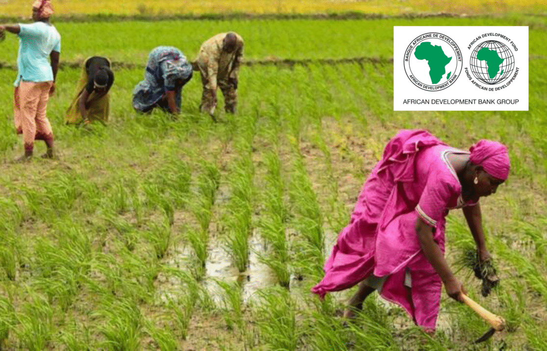 African Development Fund commits $14 million grant to scaling up climate resilience across the Sahel