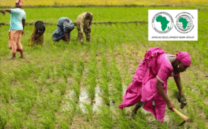 African_Development_Fund_farmers