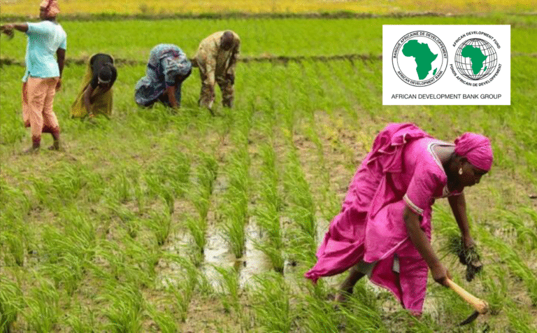 African_Development_Fund_farmers
