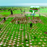 Transforming Lives and Landscapes in Nigeria: ACReSAL Earns World Bank and Stakeholders’ Praise