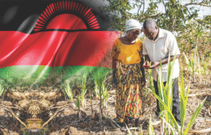 Screenshot 2025-11-06 at 09-15-32 DSC_3004-scaled.jpg (JPEG Image 1600 × 900 pixels)