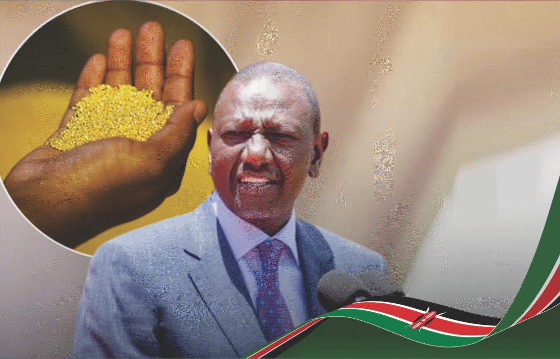 Kenya’s $5.29 Billion Gold Discovery Promises Wealth for Government, Families and SMEs