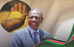 Screenshot 2025-11-13 at 22-48-39 Instagram