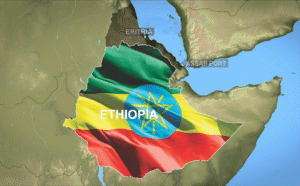 Screenshot 2025-11-16 at 09-58-08 image-81.jpg (JPEG Image 1920 × 1080 pixels) — Scaled (84%)