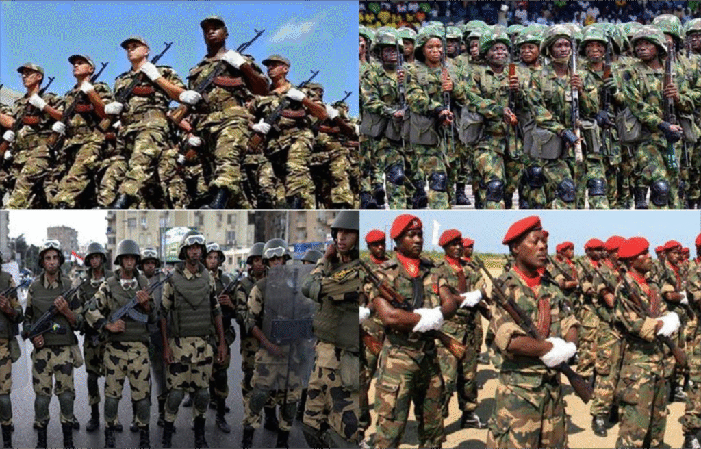 africa+militaries