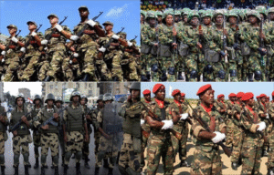 africa+militaries