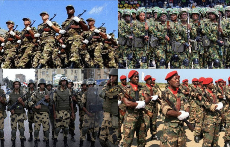 africa+militaries