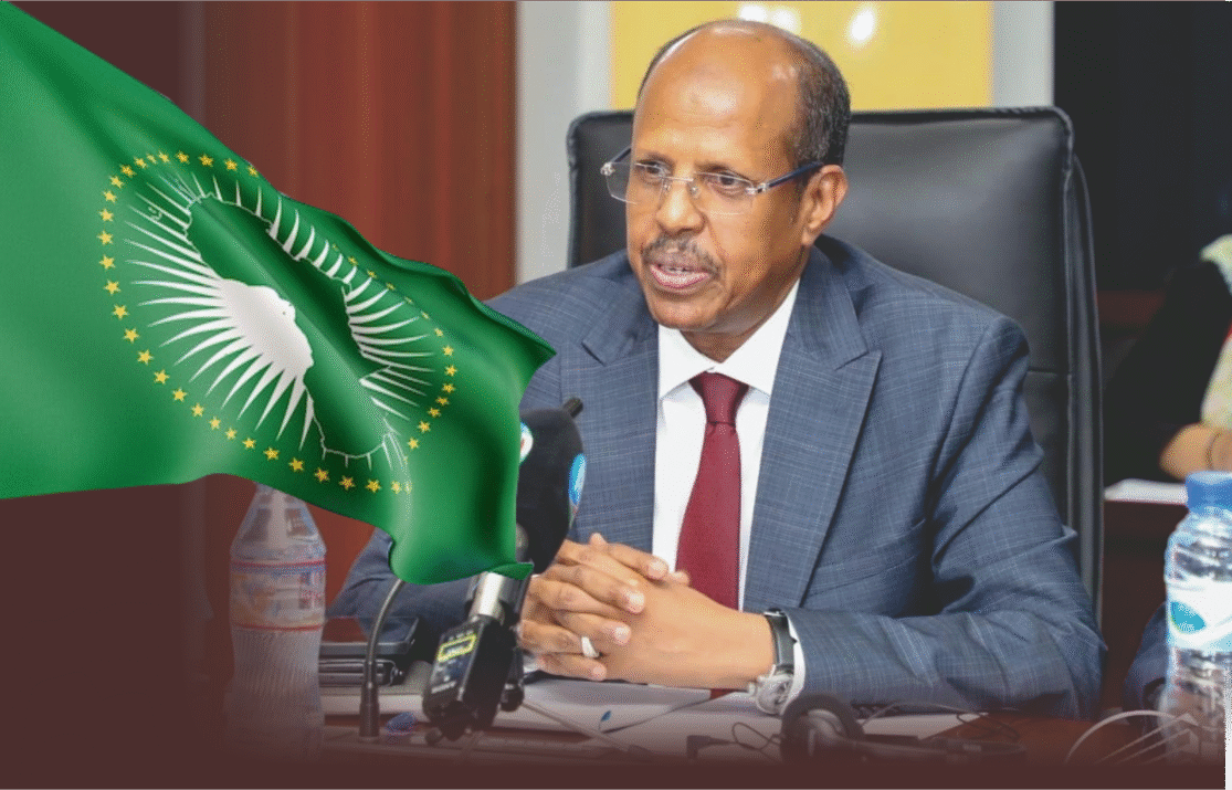 AU Urges Global Action Against Jihadist in the Sahel Region, as Fuel Blockade Toughen Mali’s Crisis