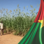 Captain Ibrahim Traore Combating Desertification in Burkina Faso with Green Offensive
