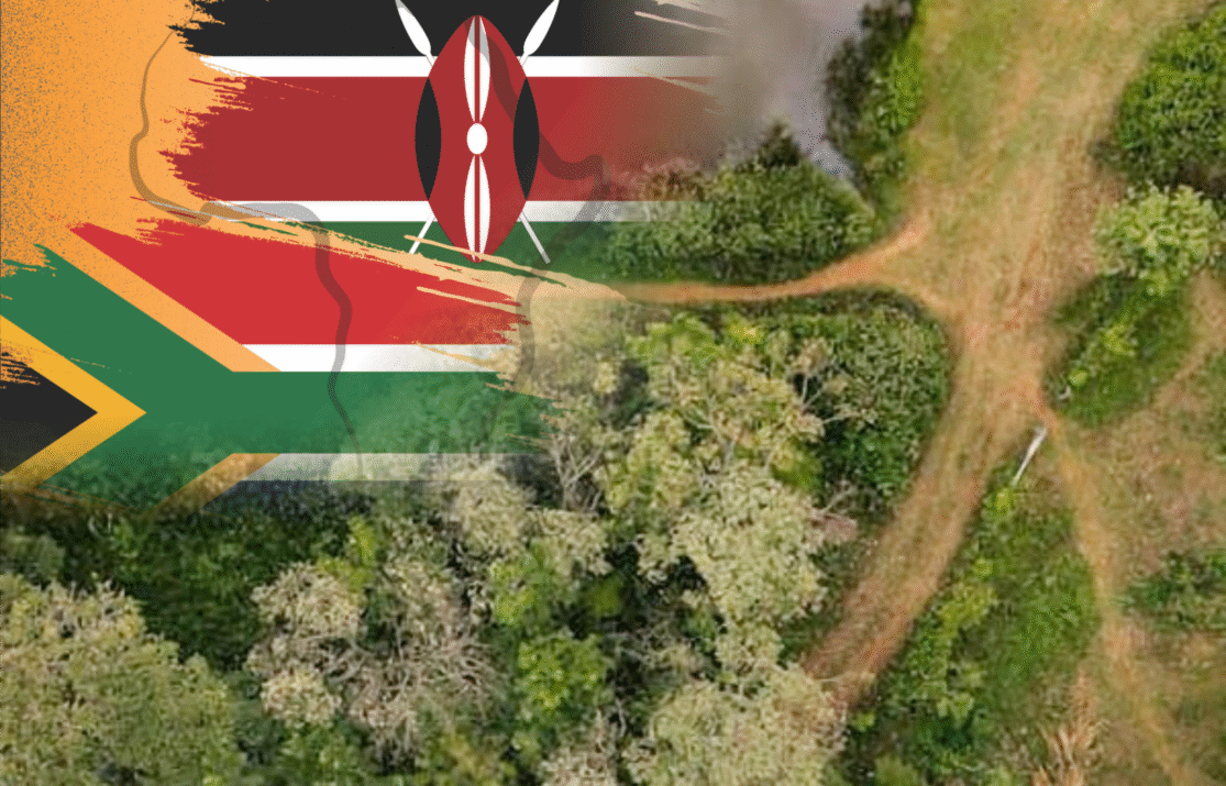Public Concern for Climate Change Falls in Kenya and South Africa: But Forests Still Strike a Deep Chord