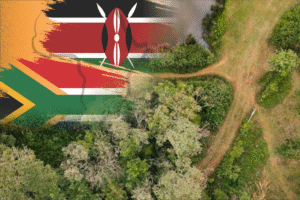 kenya+sa+forest