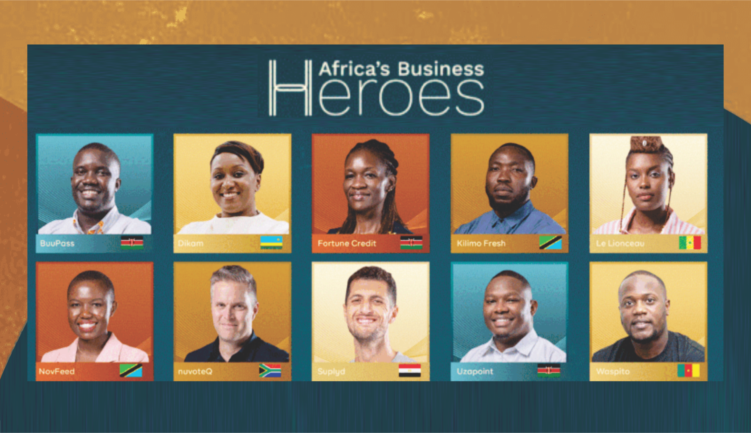 Africa’s Business Heroes