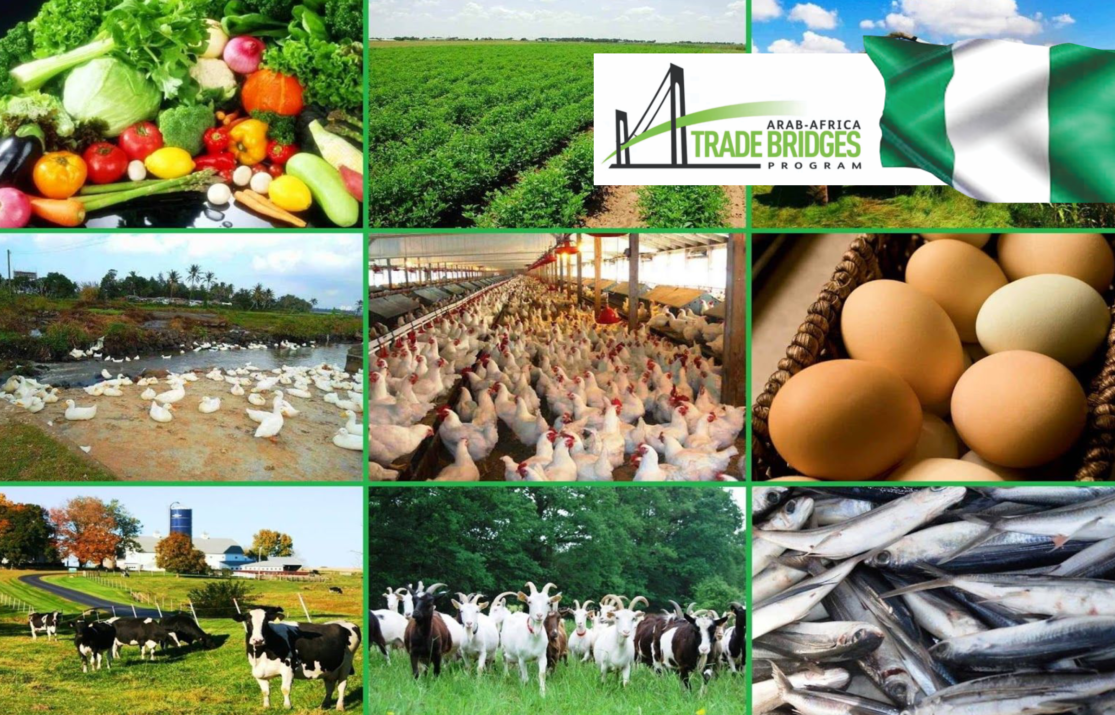 Nigeria Champions African-Arab Trade to Boost Agribusiness, Industrial Growth