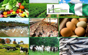 Screenshot 2025-12-03 at 22-37-59 Facebook