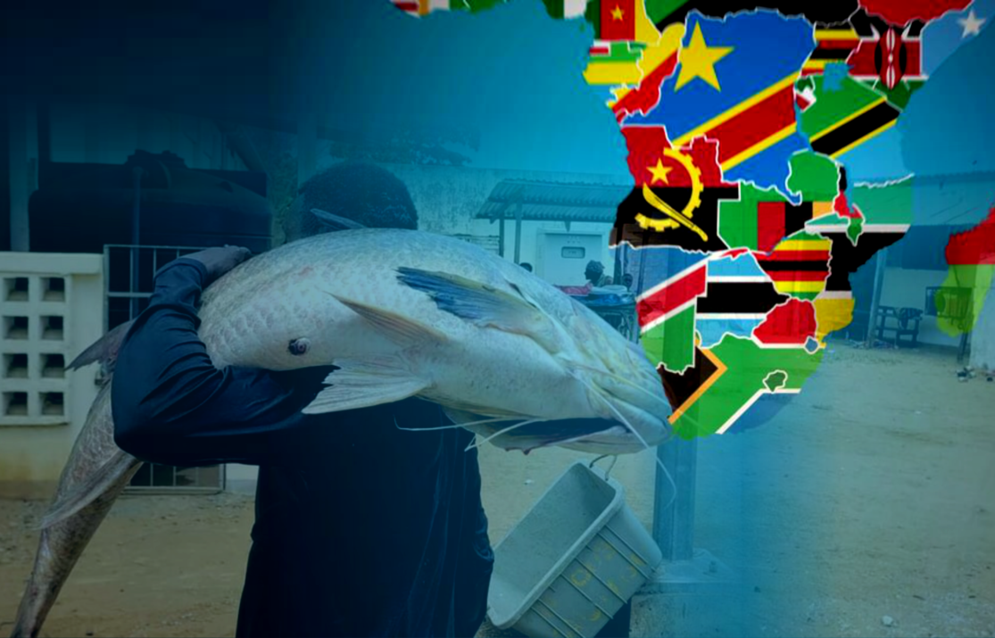 AfDB Programme Transforms Fisheries, Lifting Millions Across Southern Africa
