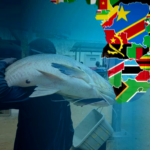 AfDB Programme Transforms Fisheries, Lifting Millions Across Southern Africa