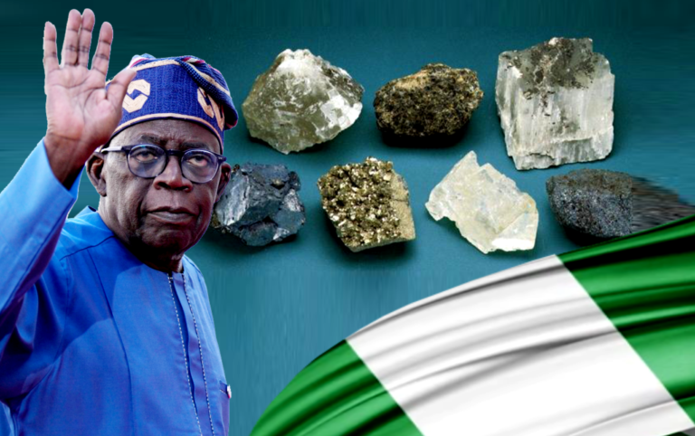 2 nigerian flag - Google Search