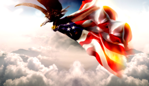 328927718.jpg (JPEG Image 800 × 449 pixels)